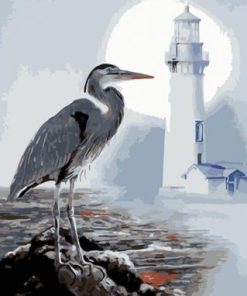 Seabirds Lighthouse Paint By Numbers