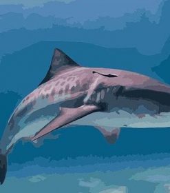 Shark Animal Paint By Numbers