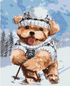 Skiing Dog Paint By Numbers