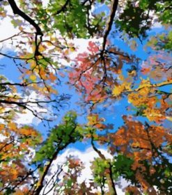 Sky of Trees Paint By Numbers