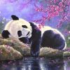 Sleeping Panda Paint By Numbers