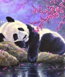 Sleeping Panda Paint By Numbers