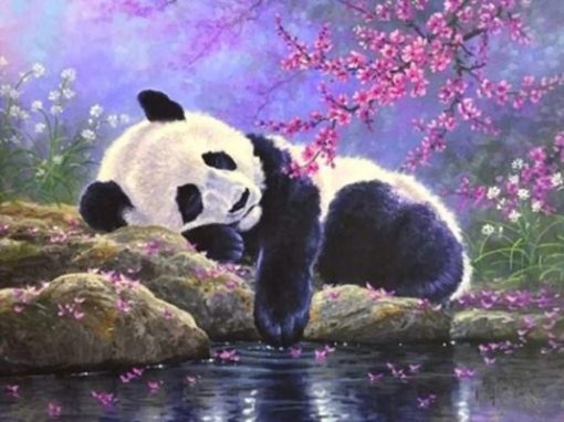 Sleeping Panda Paint By Numbers