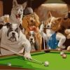 Snooker Dogs Paint By Numbers