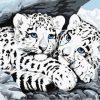 Snow Leopard Cubs Paint By Numbers