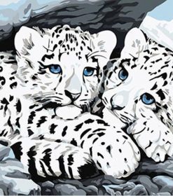 Snow Leopard Cubs Paint By Numbers