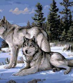 Snow Wolves Paint By Numbers