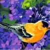 Songbirds Paint By Numbers