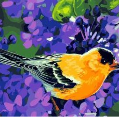 Songbirds Paint By Numbers