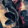 Spider Men Paint By Numbers