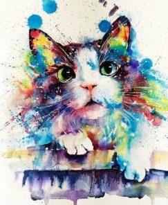 Splash Cat Paint By Numbers