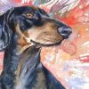 Splatter Dachshund Paint By Numbers