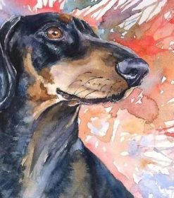 Splatter Dachshund Paint By Numbers