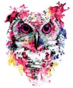 Splatter Owl Paint By Numbers