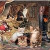 Stable Cats Paint By Numbers