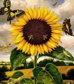 Sunflower Butterflies Paint By Numbers