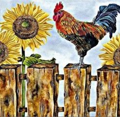 Sunflower Cock Paint By Numbers