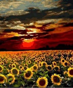 Sunflower Field Paint By Numbers