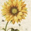 Sunflower and Bee Paint By Numbers