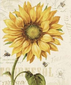 Sunflower and Bee Paint By Numbers