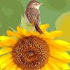 Sunflower And Bird Paint By Numbers