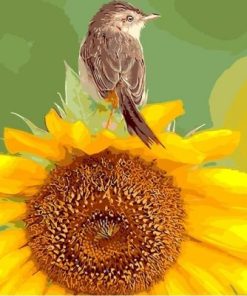 Sunflower And Bird Paint By Numbers