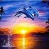 Sunset Dolphin Paint By Numbers