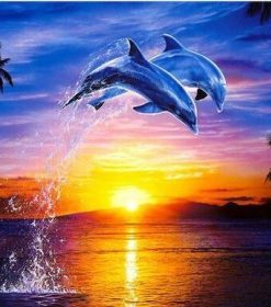 Sunset Dolphin Paint By Numbers