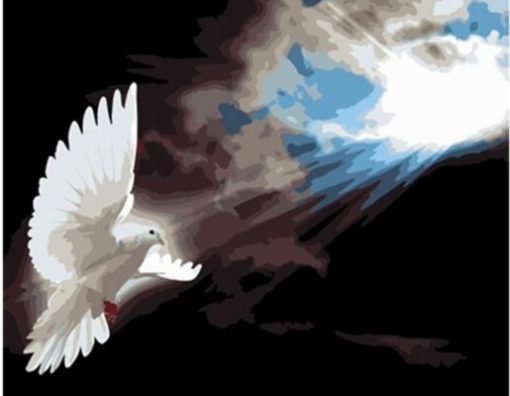 Sunshine Dove Paint By Numbers