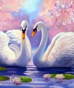 Swan Couple Paint By Numbers