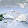 Swan Family Paint By Numbers