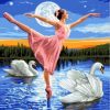 Swan and Ballerina Paint By Numbers