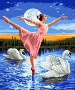 Swan and Ballerina Paint By Numbers