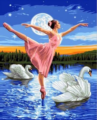 Swan and Ballerina Paint By Numbers