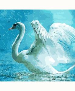 Swan in Rain Paint By Numbers