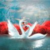 Swans Love Paint By Numbers