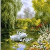 Swans in Pond Paint By Numbers