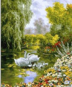 Swans in Pond Paint By Numbers