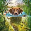 Swimming Dog Paint By Numbers