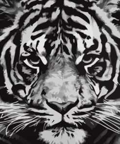 Tiger Panthera Paint By Numbers