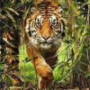 Tiger in Bush Paint By Numbers