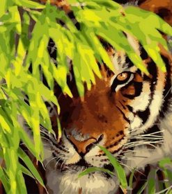 Tiger in Leaves Paint By Numbers