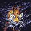 Tiger in Water Paint By Numbers