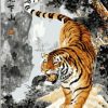 Tigers Art Paint By Numbers