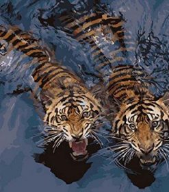 Tigers in Water Paint By Numbers