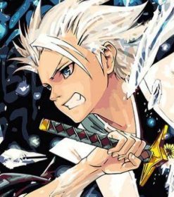 Tōshirō Hitsugaya Paint By Numbers