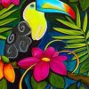 Toucan Birds Paint By Numbers