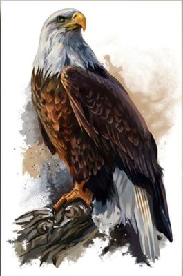 Tree Eagle Paint By Numbers