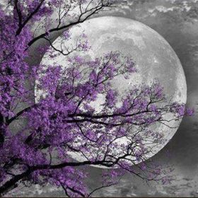 Tree Moon Paint By Numbers