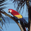 Tree With Parrot Paint By Numbers